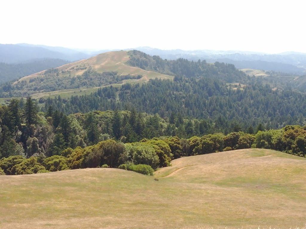 Rolling green and golden hills with dense forests under a bright sky.