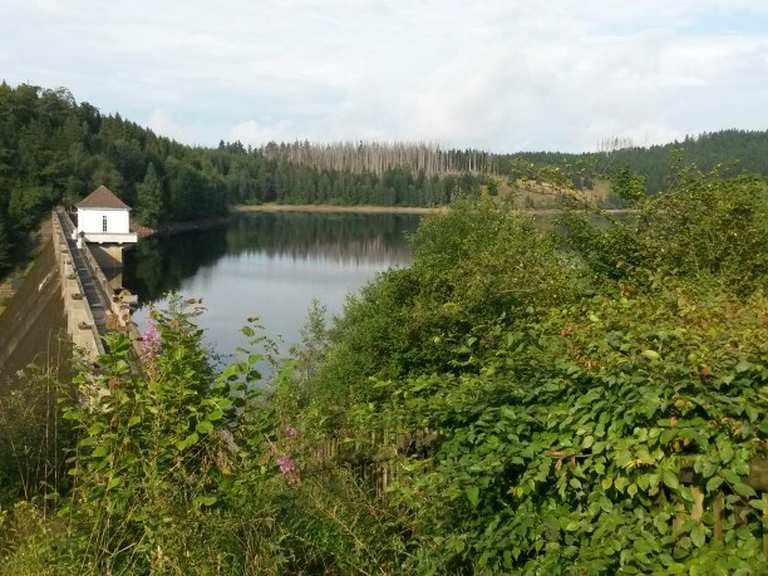 Eckertalsperre MountainbikeTouren und Trails komoot