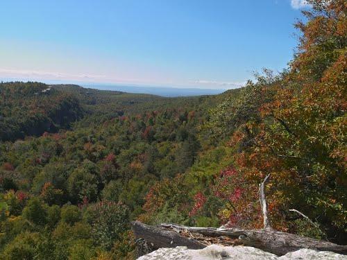 Overlook of a vast forest valley with vibrant autumn foliage under a clear sky.