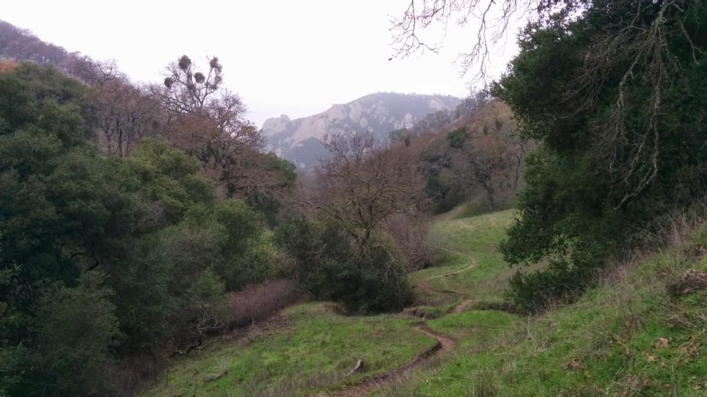 Narrow dirt path winding through a wooded valley on an overcast day.