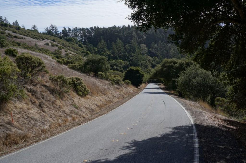 A paved road curves through sunlit hillsides with scattered trees.
