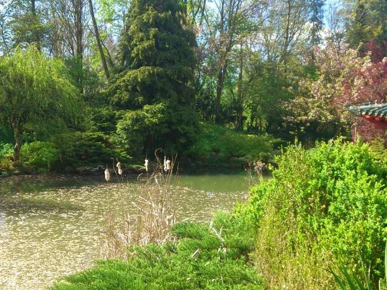 Asiatischer Garten in Münzesheim Routes for Walking and Hiking Komoot