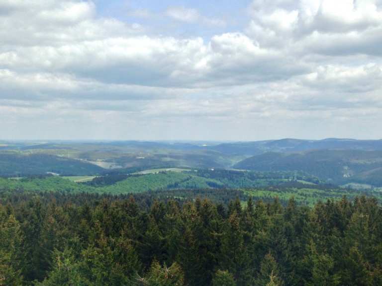 Eselsberg Wanderungen und Rundwege komoot