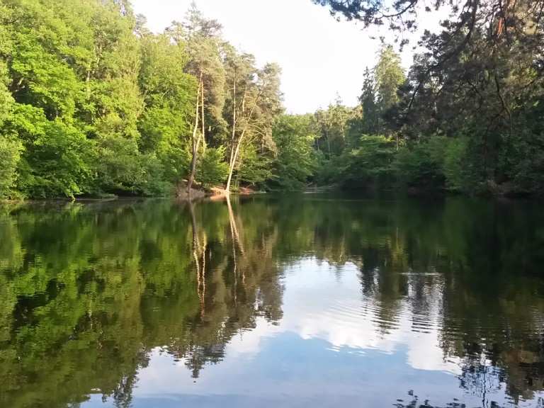 Donoper Teich Routes for Walking and Hiking Komoot