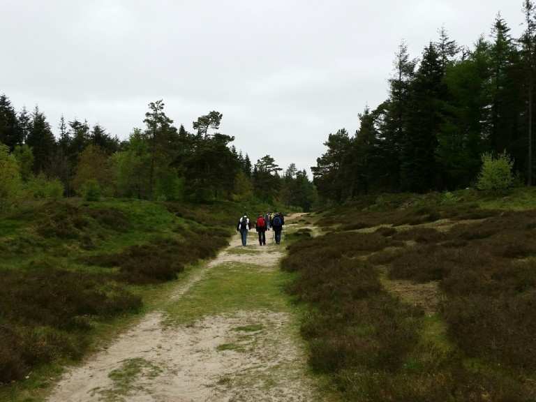 Langenberger Forst - Leck, Nordfriesland | Wanderweg | Komoot
