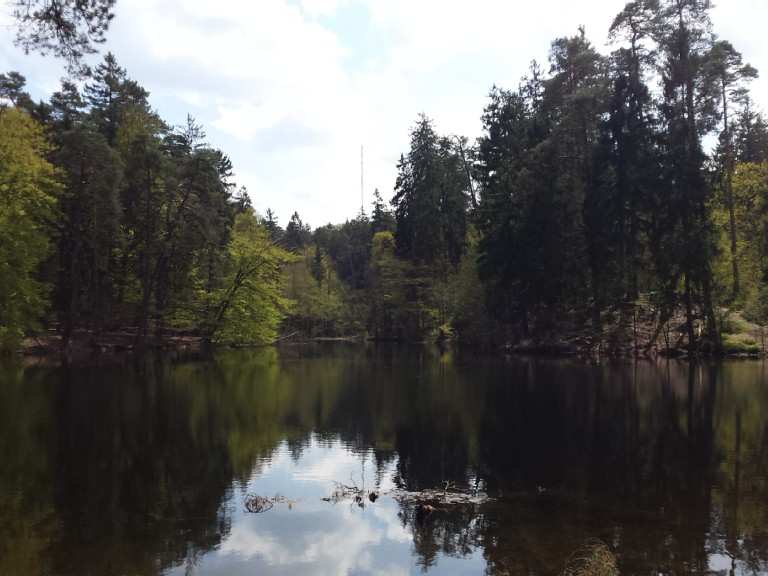 Donoper Teich Routes for Walking and Hiking Komoot