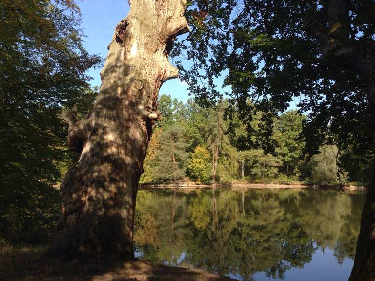 Pfaffensee Regierungsbezirk Stuttgart, BadenWürttemberg