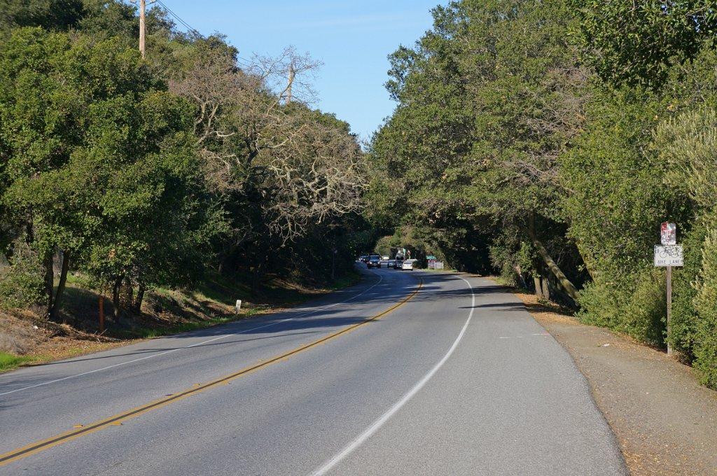 Paved road winding through dense green trees under a bright blue sky.