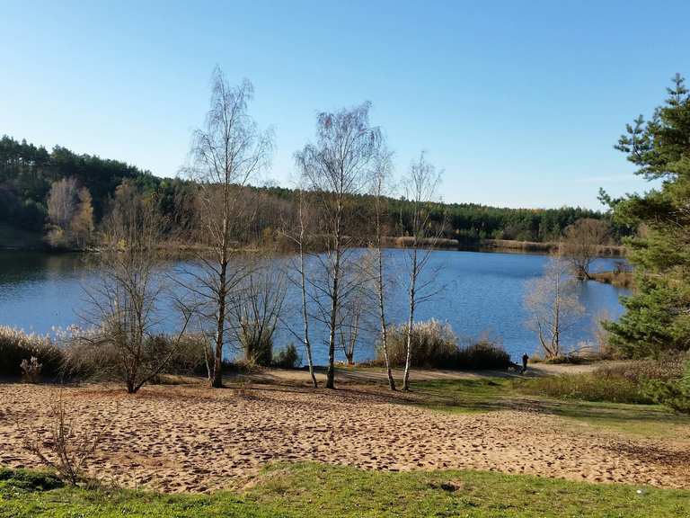 Birkensee MountainbikeTouren und Trails komoot