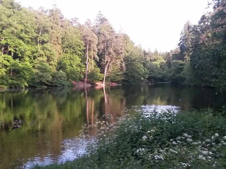 Donoper Teich Wanderungen und Rundwege komoot