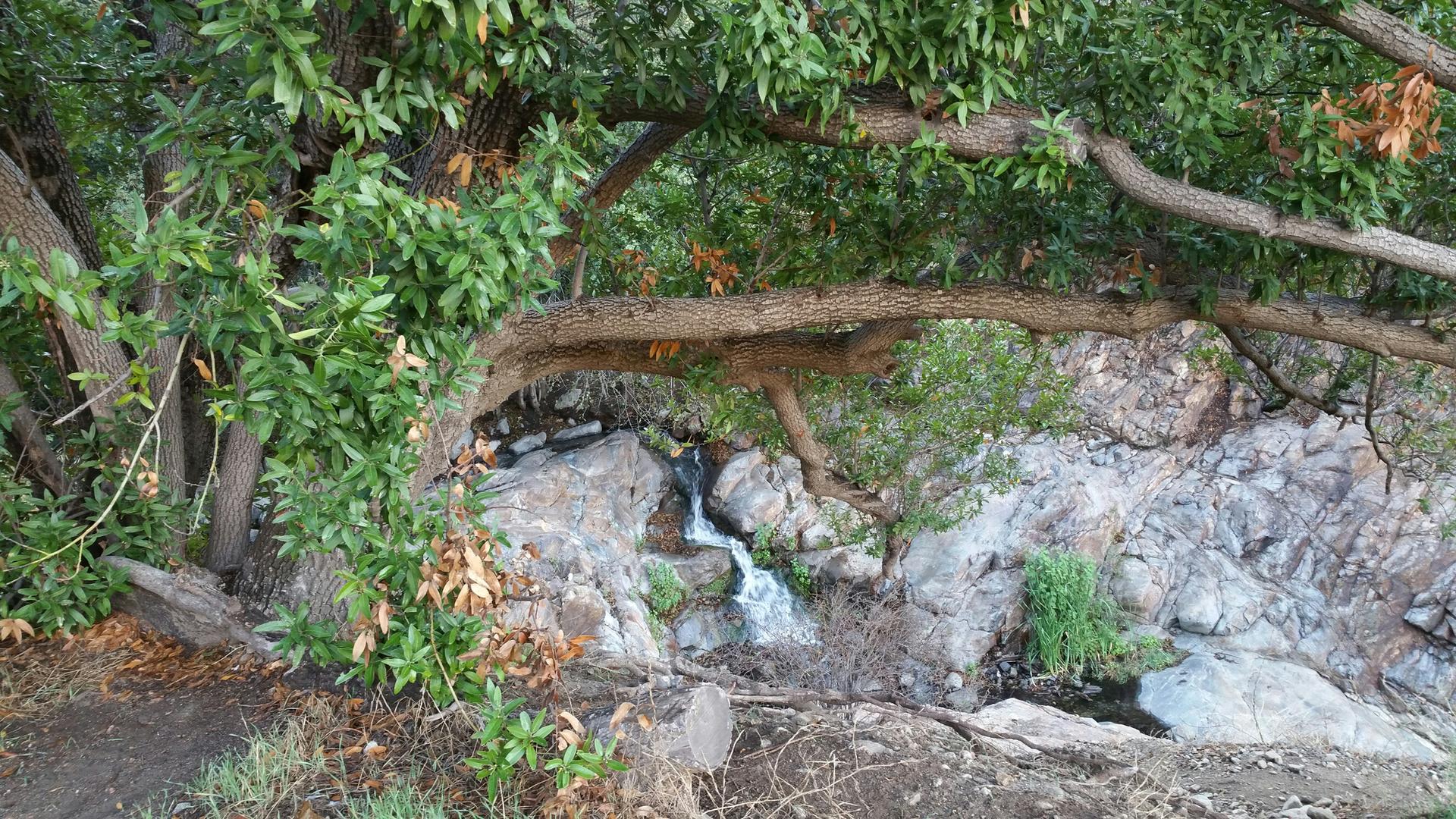 Small waterfall cascading over rocks beneath lush green trees in shade.