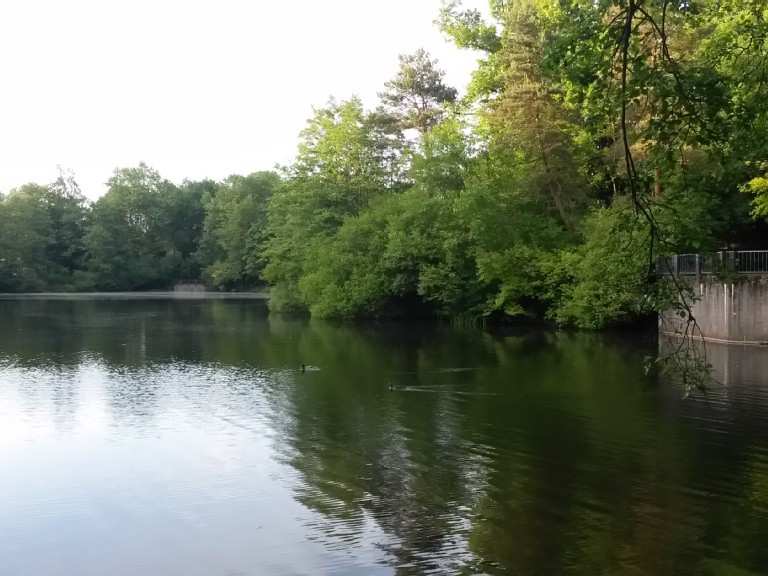 Donoper Teich Routes for Walking and Hiking Komoot