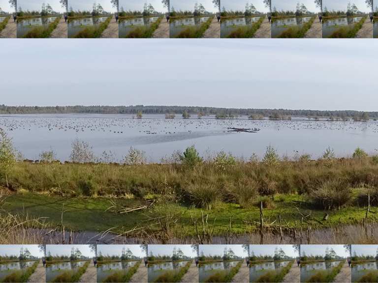 Tister Bauernmoor fietsroutes en kaart | Komoot