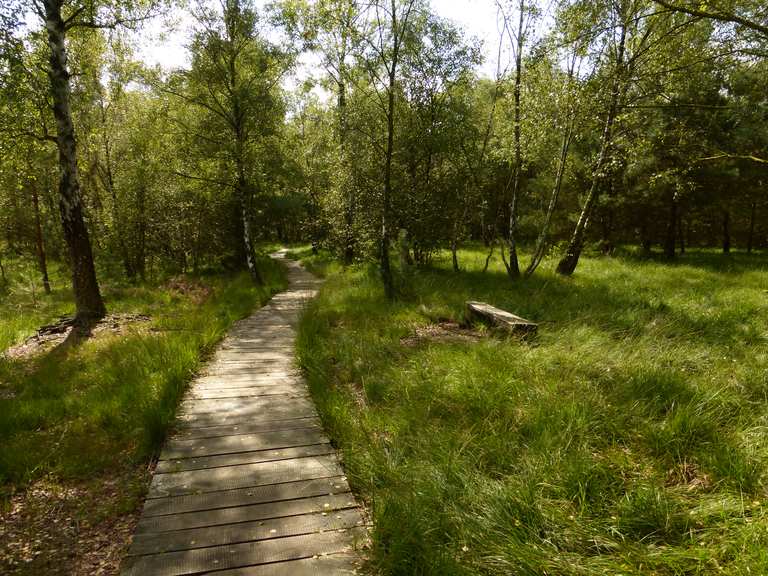 Venner Moor - Cycle Routes and Map | Komoot