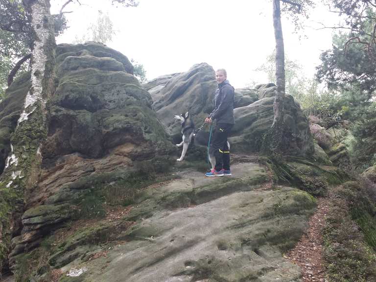 Dörenther Klippen wandelroutes en hikes | Komoot