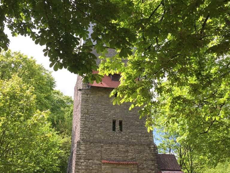 Moritzberg Radtouren und Radwege komoot