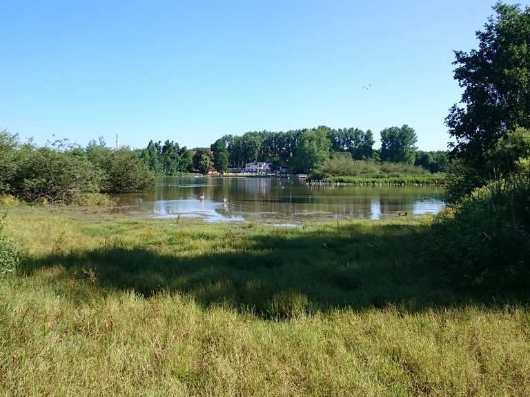 Großer Teich Routes for Walking and Hiking Komoot