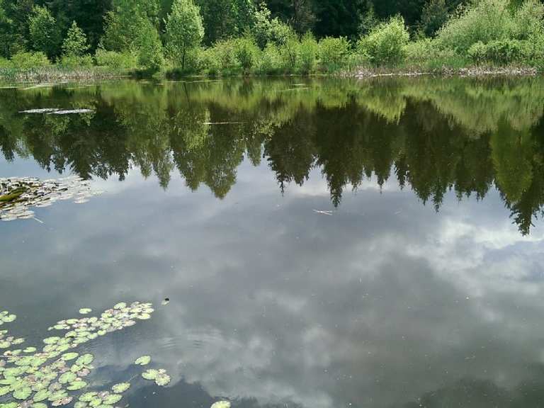Mittelpunkt Sachsen Teiche bei Grillenburg Runde von FreitalDeuben
