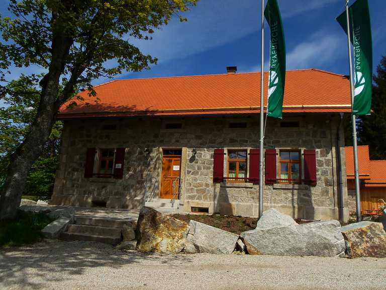 Waldhaus im Steinwald Wanderungen und Rundwege komoot