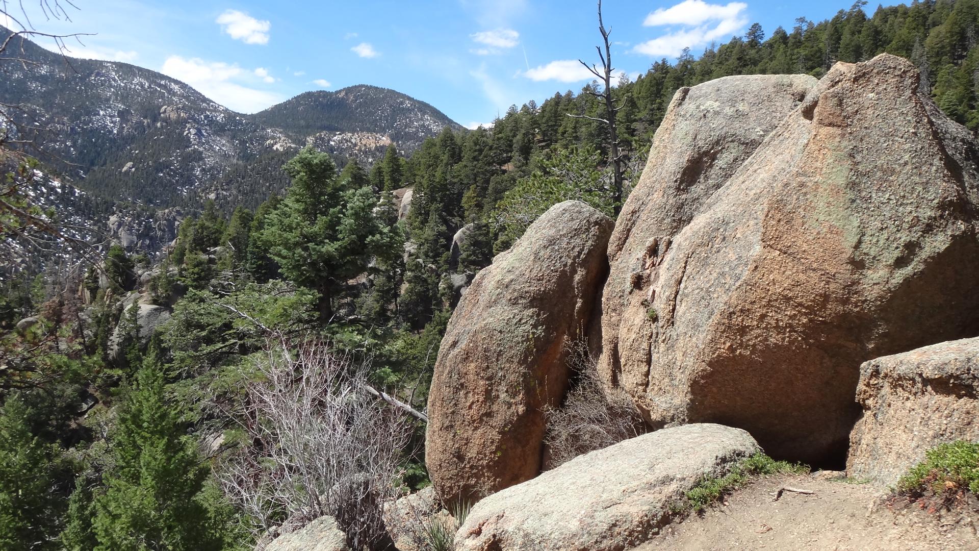 Massive boulders in a pine forest with distant snowy mountains under a blue sky.