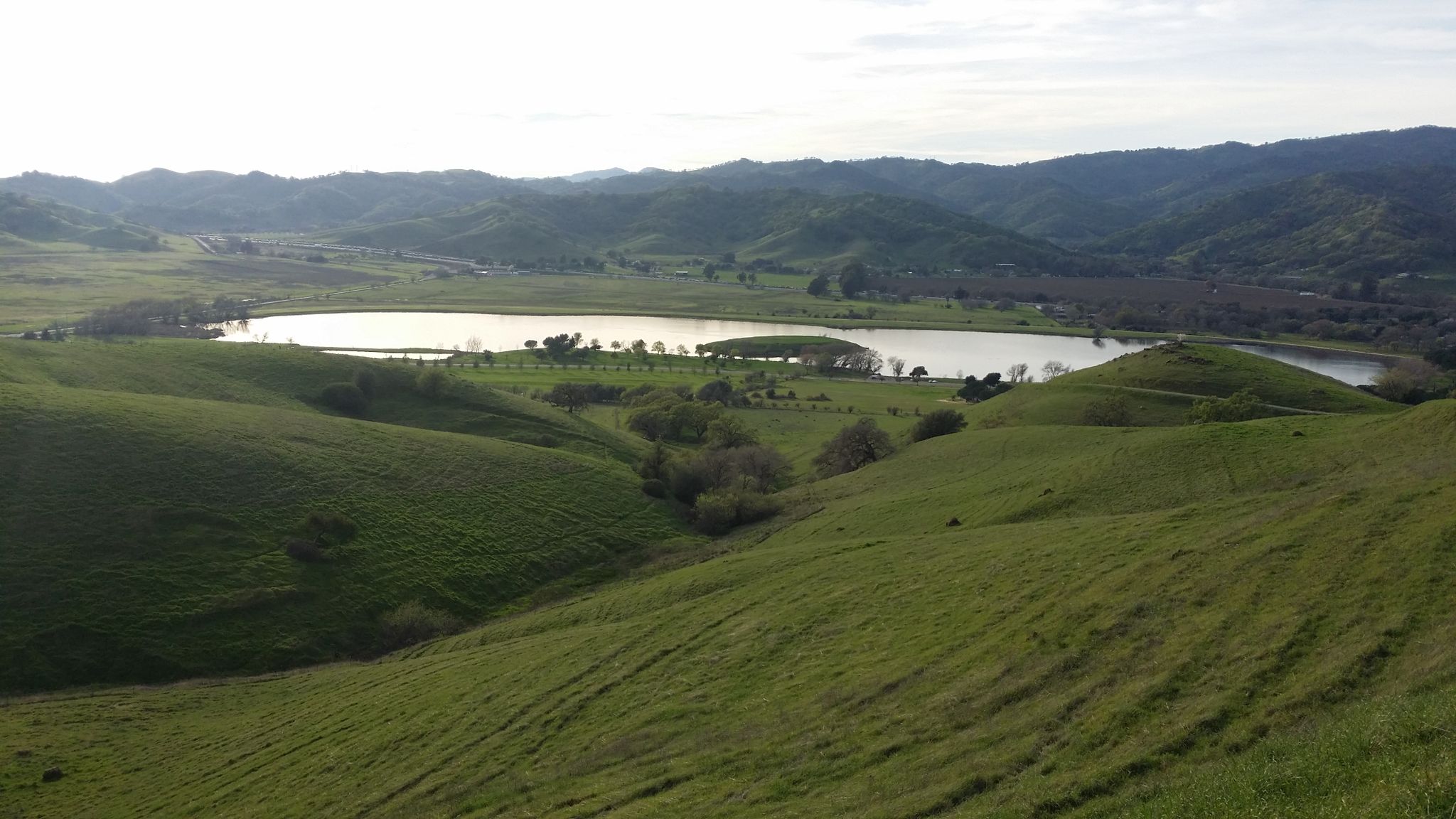 A serene lake nestled among rolling green hills under an overcast sky. - Peña Adobe Hill loop