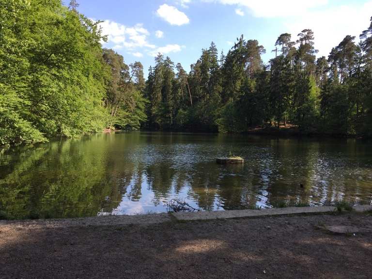 Donoper Teich (Damm) MountainbikeTouren und Trails komoot