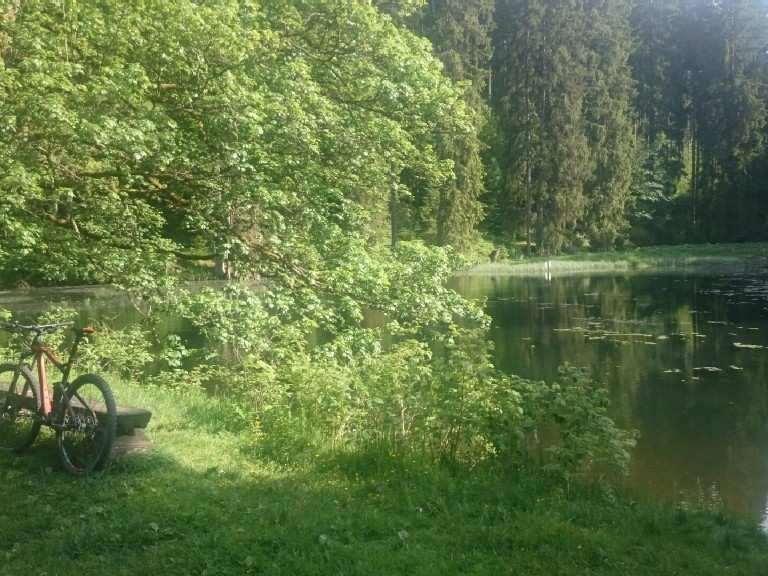 Finsteres Loch Knöpfelstaler Teich Circuit à partir de Gehren