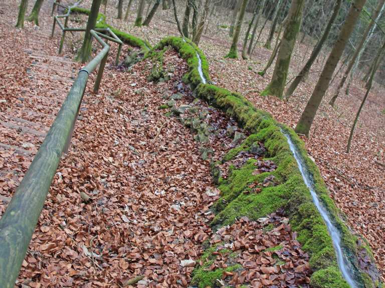 Steinerne Rinne: Wanderungen und Rundwege | komoot
