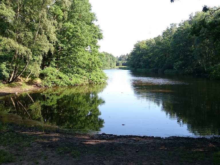 Ahrensfelder Weg Bredenbeker Teich Runde von Oldenfelde Fahrradtour
