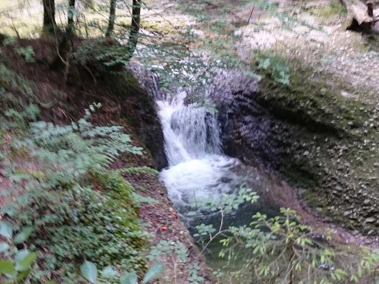 Scheidegger Wasserfälle Wanderungen und Rundwege komoot