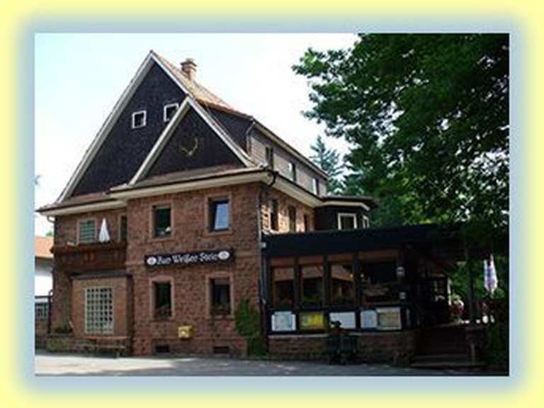 Weißer Stein – Weißer Stein Runde von Heidelberg | Wanderung | Komoot