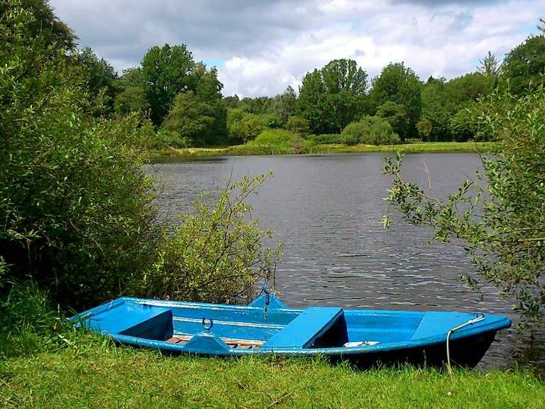 Kleines Ruderboot, schöner Platz am Waldsee Routes for Walking and
