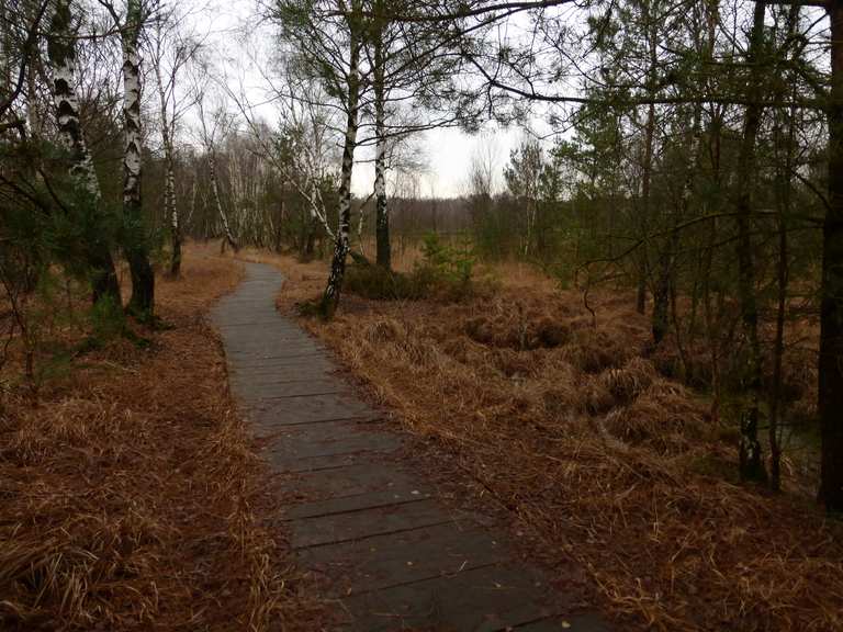 Venner Moor - Cycle Routes and Map | Komoot