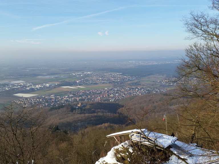 Melibokus MountainbikeTouren und Trails komoot