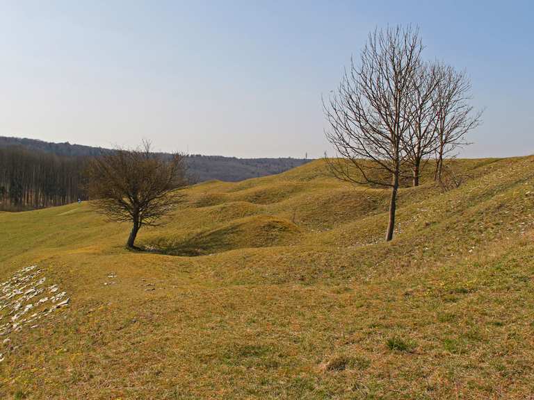 Der gelbe Berg Routes for Walking and Hiking | Komoot