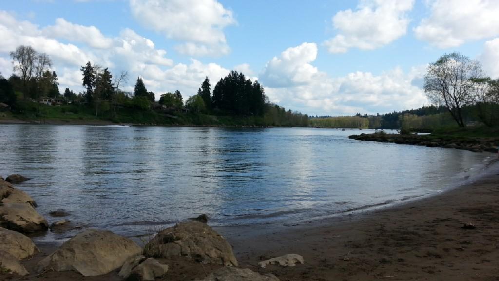 Wide river with sandy bank under a bright, cloudy sky.