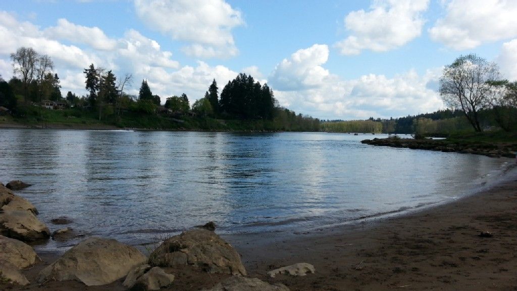 Wide river with sandy bank under a bright, cloudy sky. - Cedar Island Trail