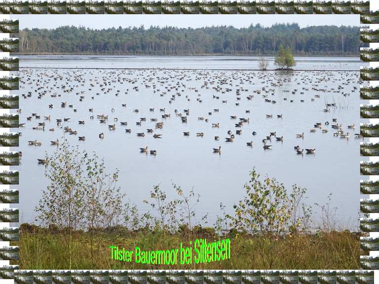 Tister Bauernmoor fietsroutes en kaart | Komoot