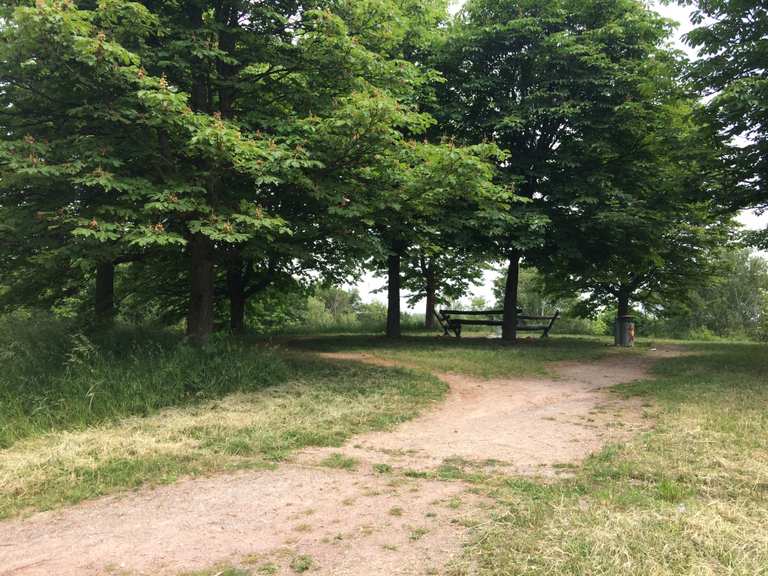 singletrail ettlingen