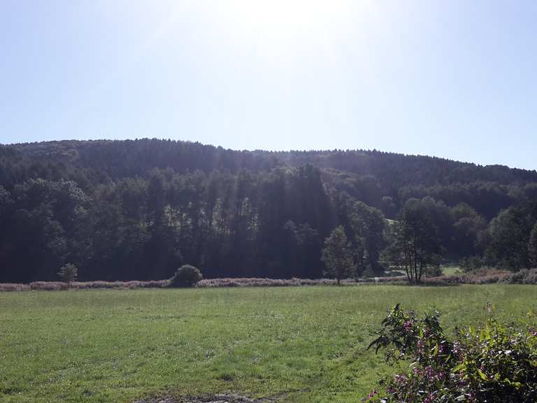 Schöner Feldweg An Der Sülz Mountain Bike Trails & Tracks 