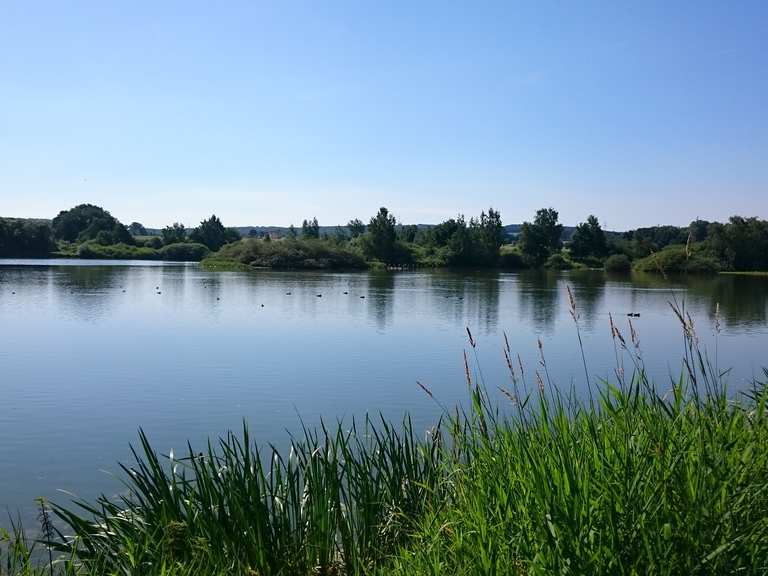 34+ Großer Teich Limbach Baden, Sehen sie sich bewertungen, ratings