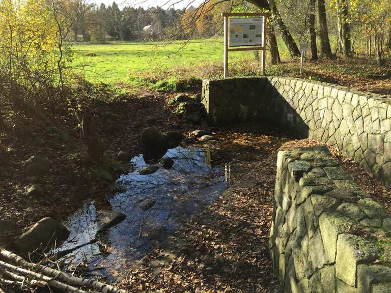Alsterquelle Wanderungen und Rundwege komoot