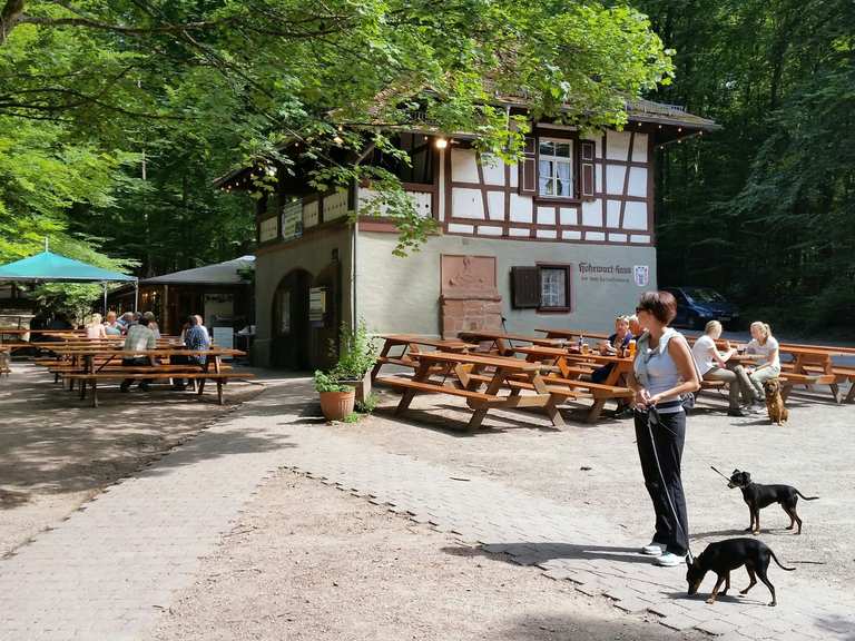 HoheWartHaus Routes for Walking and Hiking Komoot