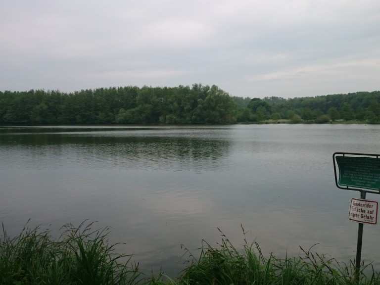 Leveringhäuser Vogelteich / NSG Leveringhäuser Teich (Waltrop