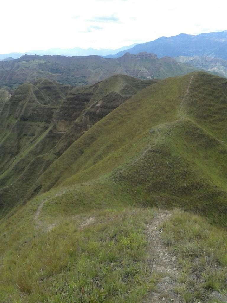The best walks and hikes in Parque Nacional Podocarpus | Komoot