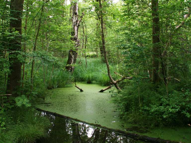 SiebenBrückenWeg Wanderungen und Rundwege komoot