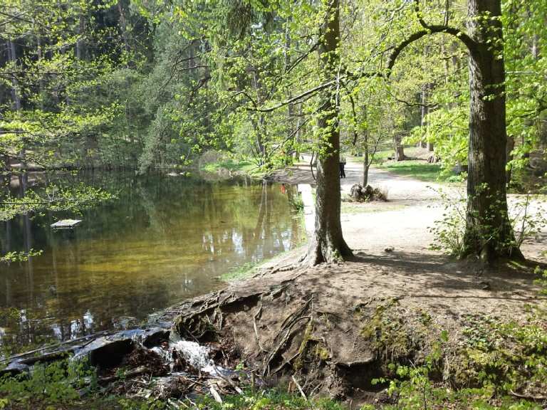 Donoper Teich Wanderungen und Rundwege komoot
