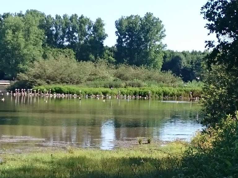 Großer Teich Wanderungen und Rundwege komoot