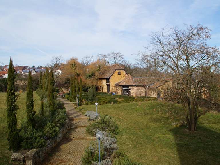 Burg Battenberg Wanderungen und Rundwege komoot