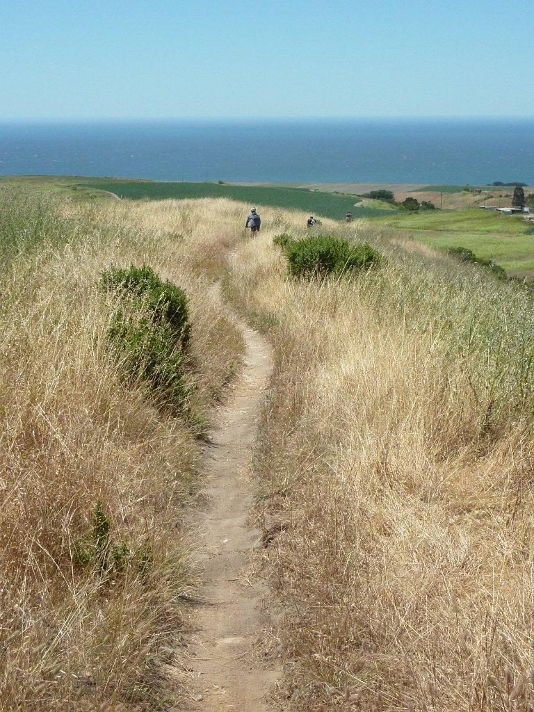 Winding dirt path through dry grass towards a distant ocean under clear sky.